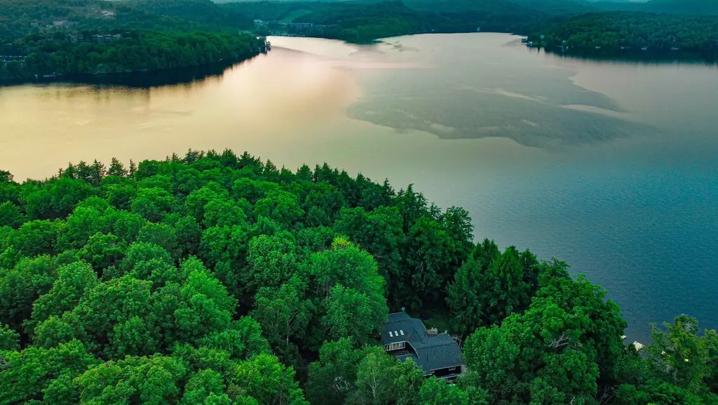 Scenic aerial view of lush green forest and tranquil lake in Ontario summer landscape